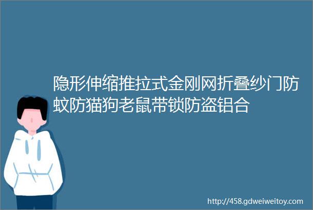 隐形伸缩推拉式金刚网折叠纱门防蚊防猫狗老鼠带锁防盗铝合